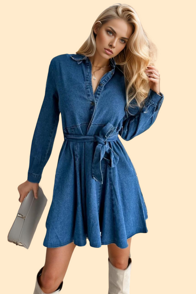 Long sleeve denim dress
