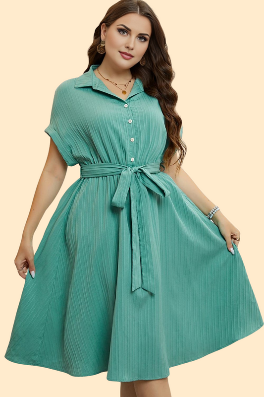 Buttoned tie-waist shirt dress